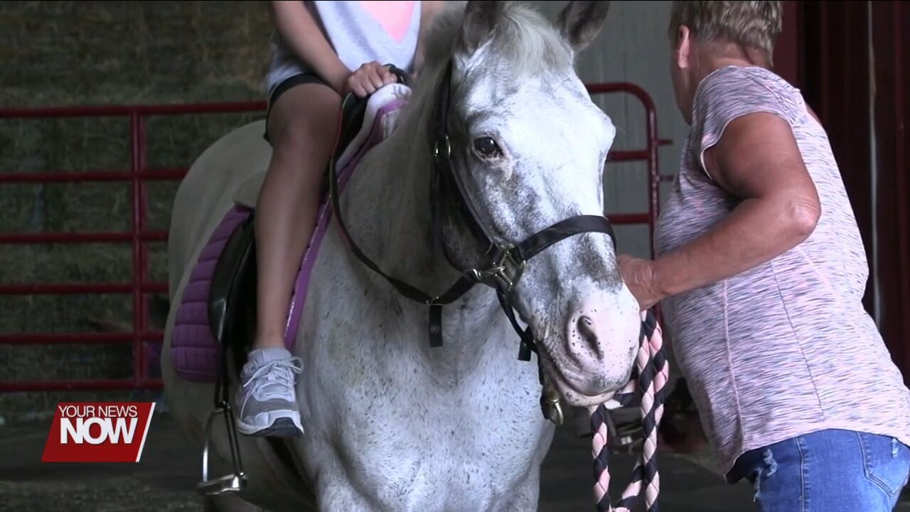 Horses and volunteers at Challenged Champions provide hope and smiles to those in need